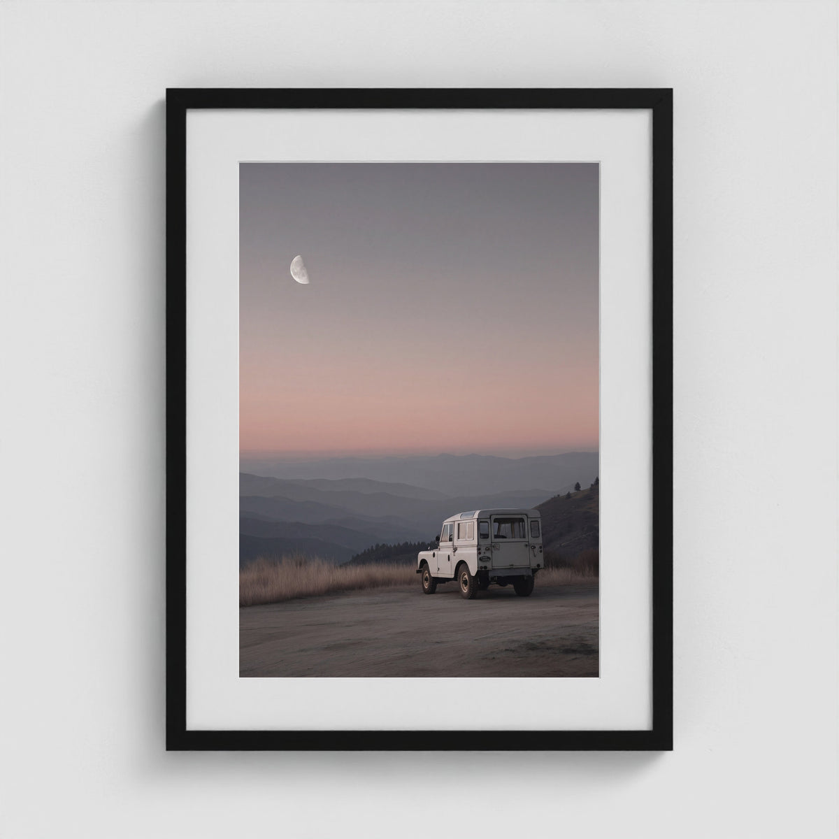 Rover Field Studies - No. 11 18x24 Black Portrait Box Frame