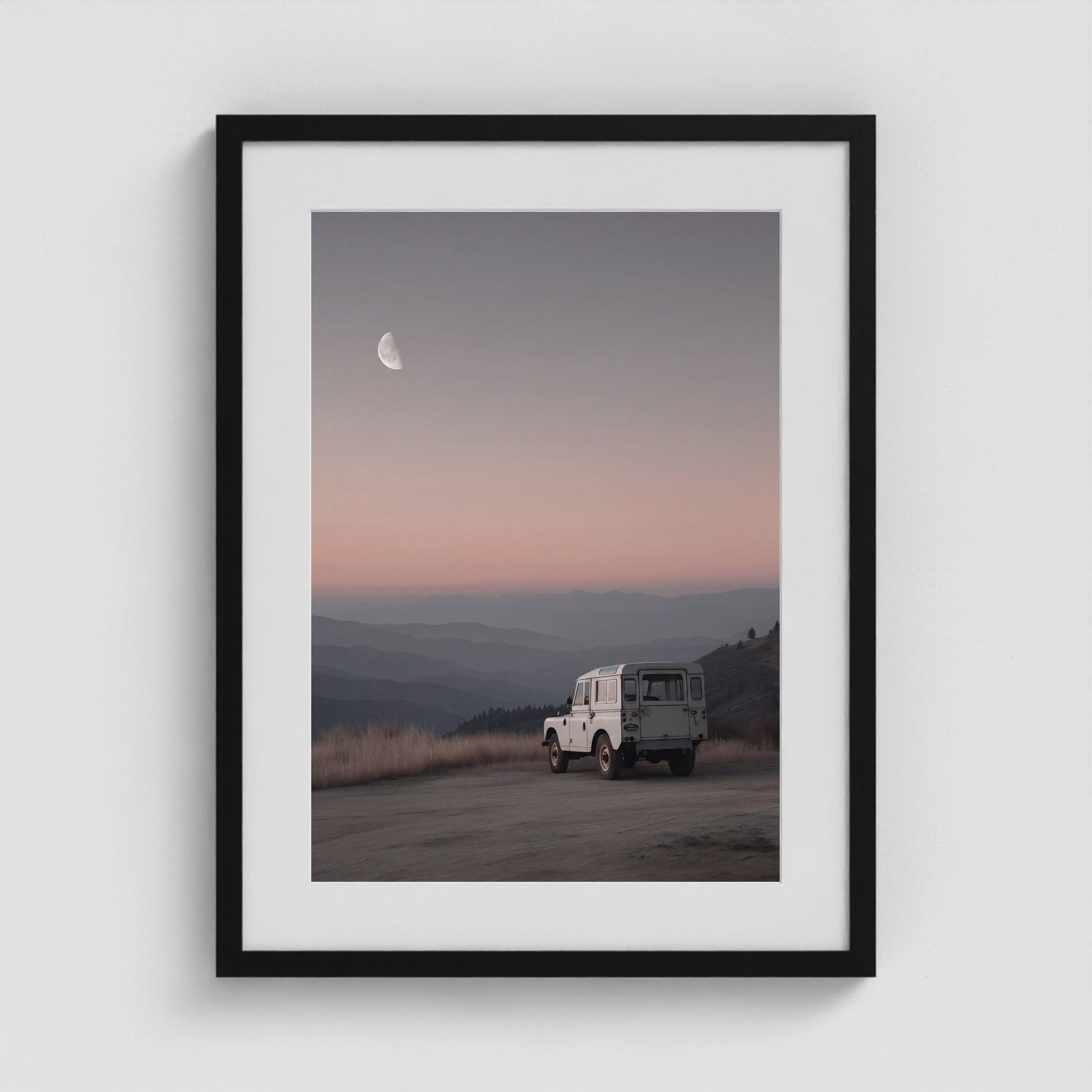 Rover Field Studies - No. 11 18x24 Black Portrait Box Frame