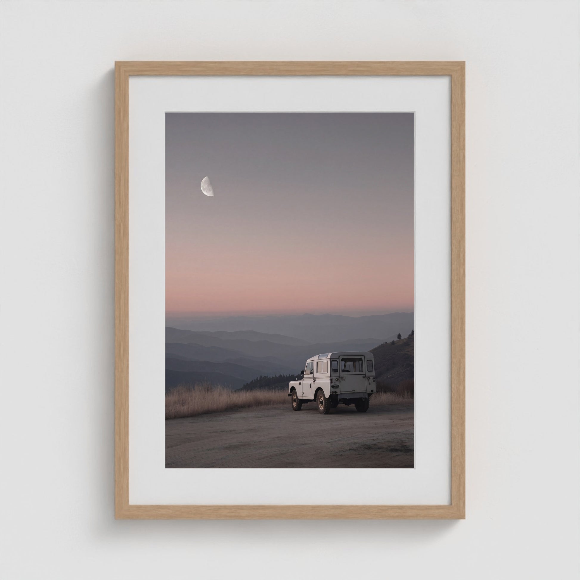 Rover Field Studies - No. 11 18x24 Natural Portrait Box Frame