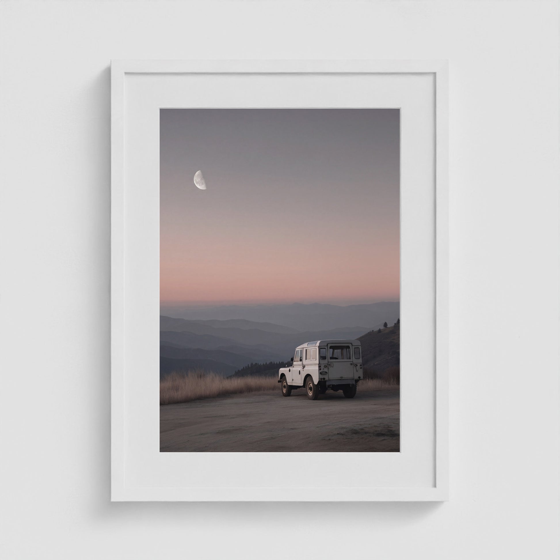 Rover Field Studies - No. 11 18x24 White Portrait Box Frame