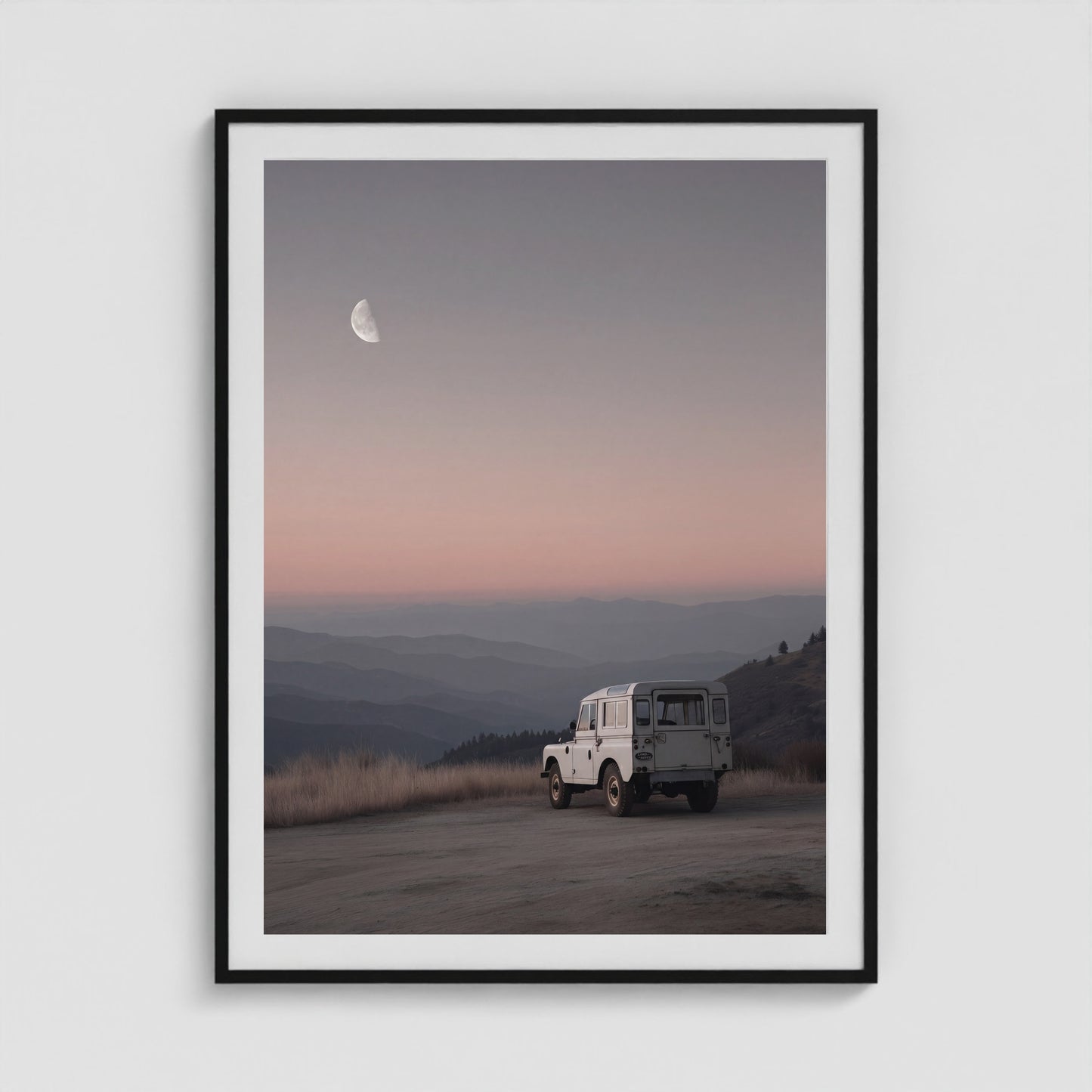 Rover Field Studies - No. 11 36x48 Black Portrait Box Frame