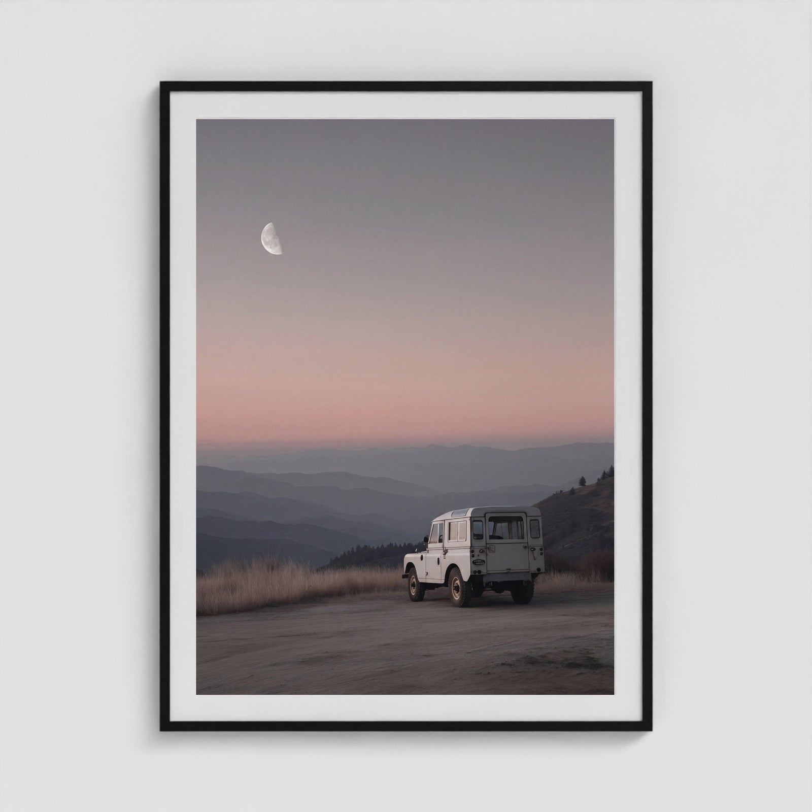Rover Field Studies - No. 11 36x48 Black Portrait Box Frame