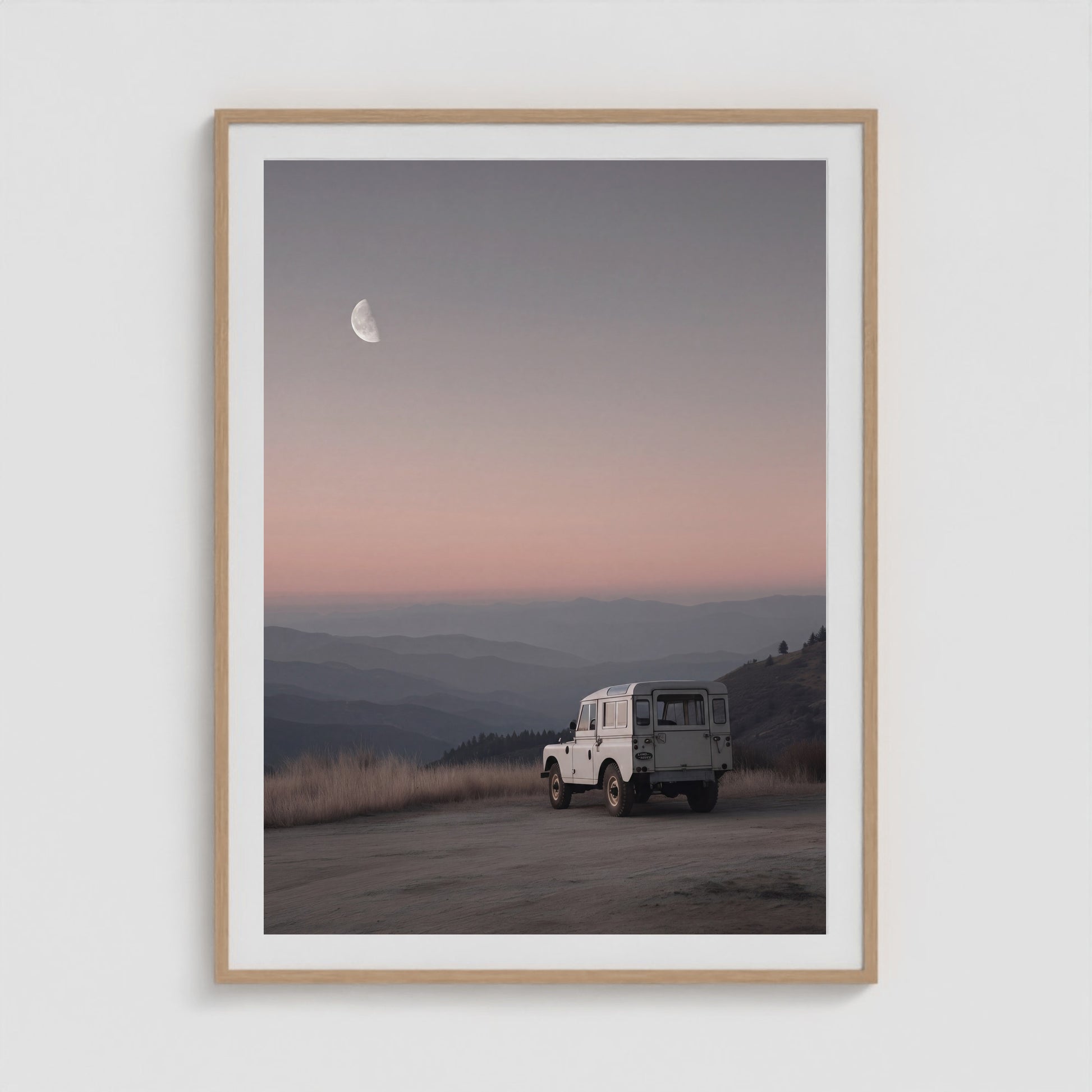Rover Field Studies - No. 11 36x48 Natural Portrait Box Frame