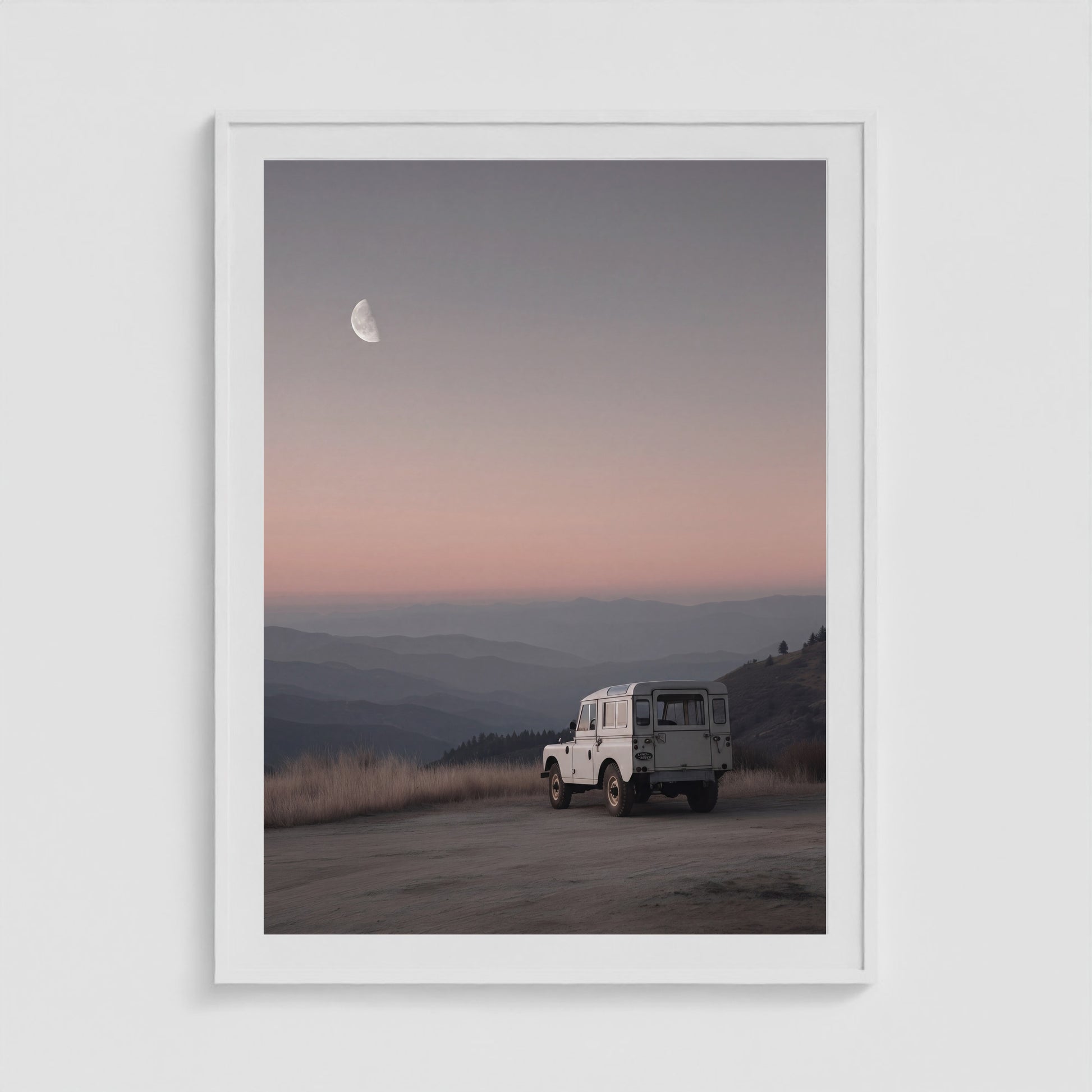 Rover Field Studies - No. 11 36x48 White Portrait Box Frame