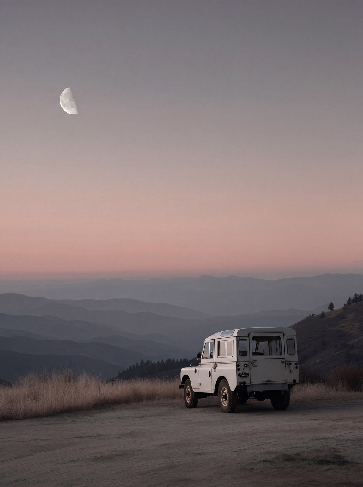 Rover Field Studies - No. 11 - Raw Artwork