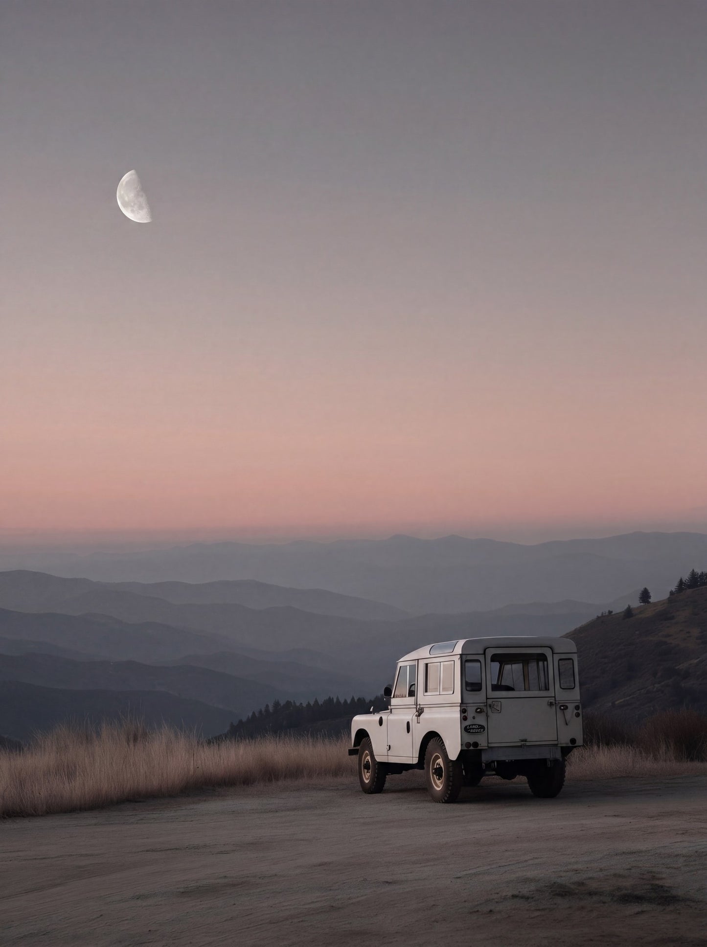 Rover Field Studies - No. 11 - Raw Artwork