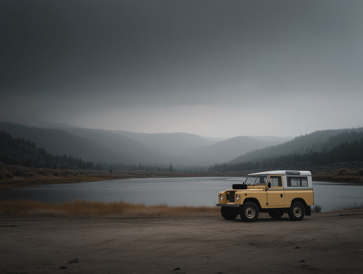 Rover Field Study - No. 6 - Raw Artwork