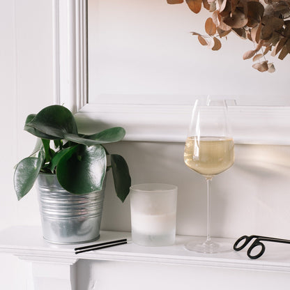 Stylized home bar setting featuring the elegant Stem Zero crystal champagne glass.