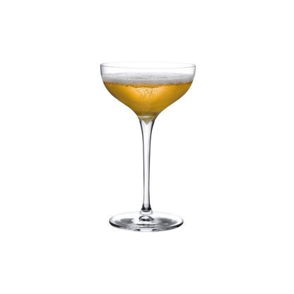 Terroir Set of 2 Coupe Glasses | Provenance & Patina