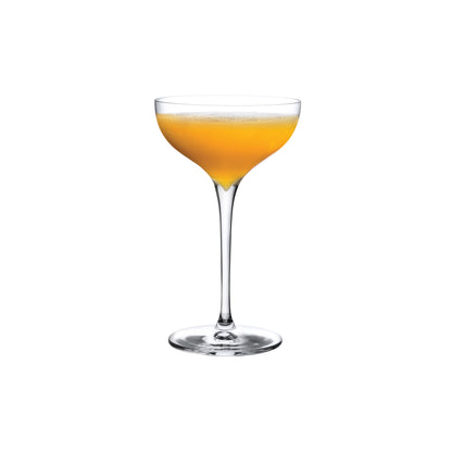 Terroir Set of 2 Coupe Glasses | Provenance & Patina