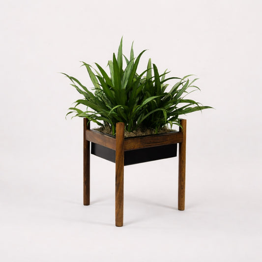 Midcentury Modern Triangular Walnut Planter