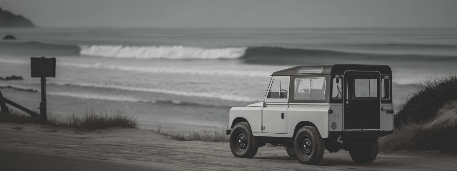 Provenance & Patina — curated gallery