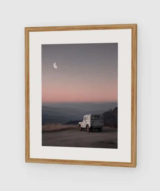 Rover Field Studies - No. 11 framed artwork preview