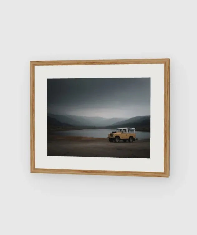 Rover Field Study - No. 6 framed artwork preview